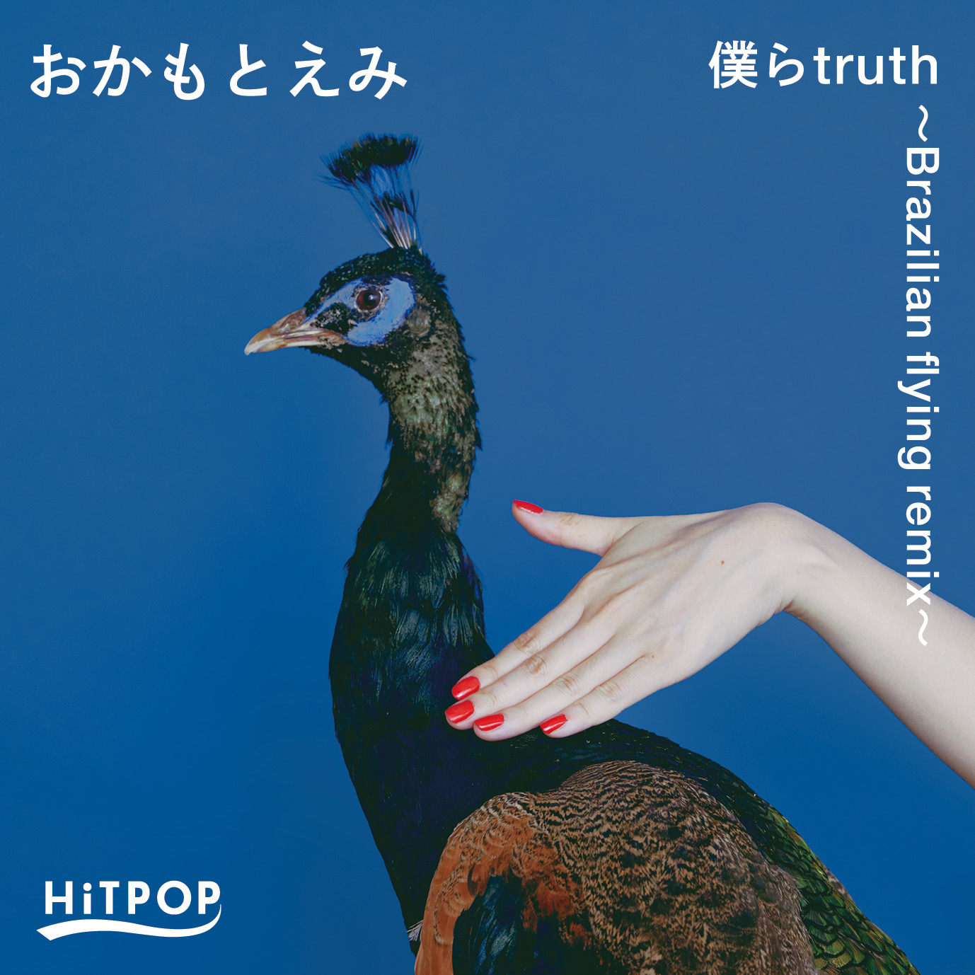 僕らtruth 〜Brazilian flying remix〜