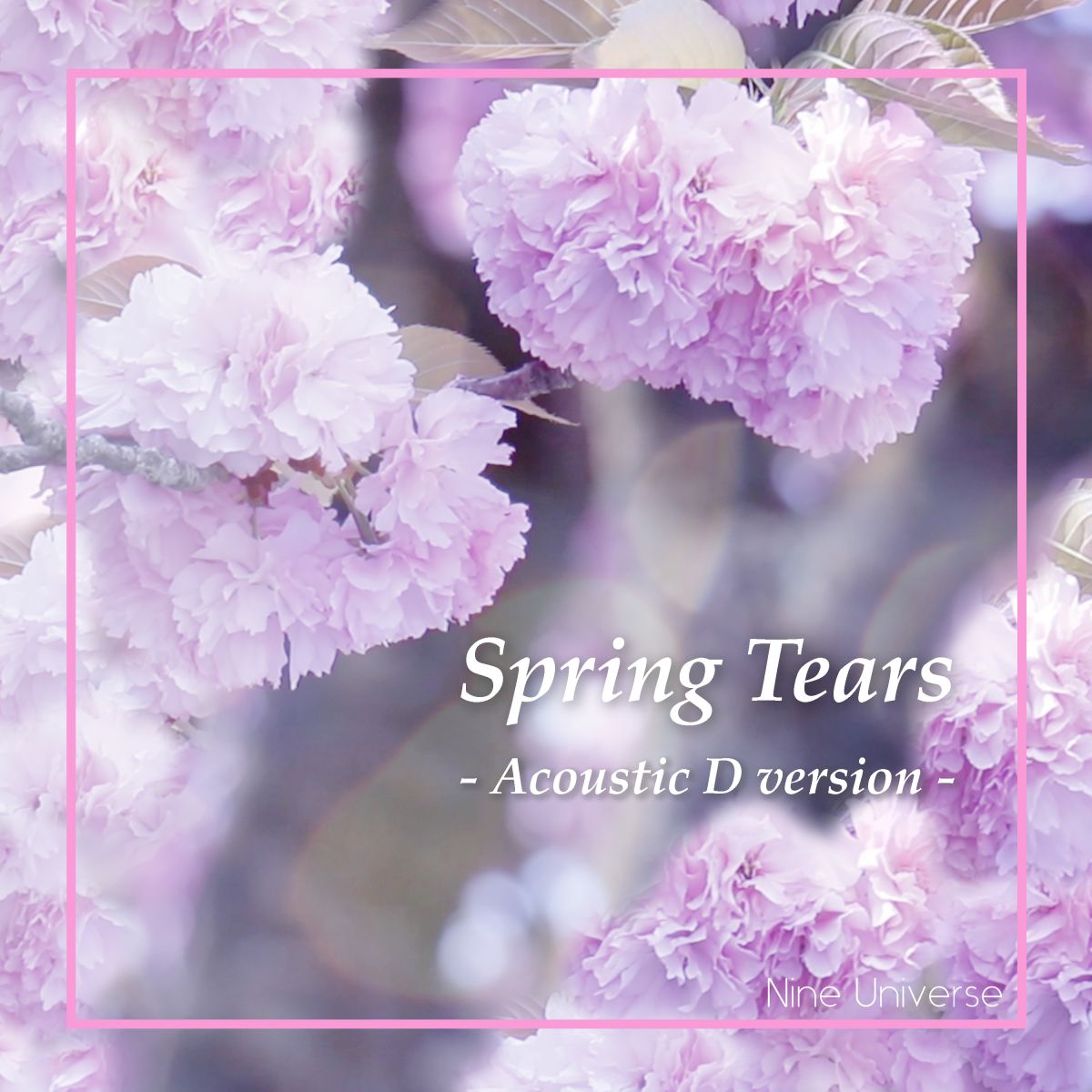 Spring Tears - Acoustic D version -