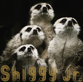 GHOST PARTY / Shiggy Jr.