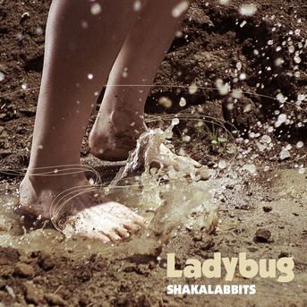 10th Maxi Single『Ladybug』
