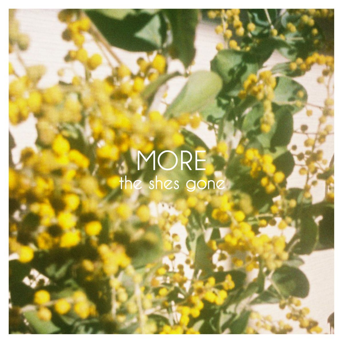 2nd mini album「MORE」