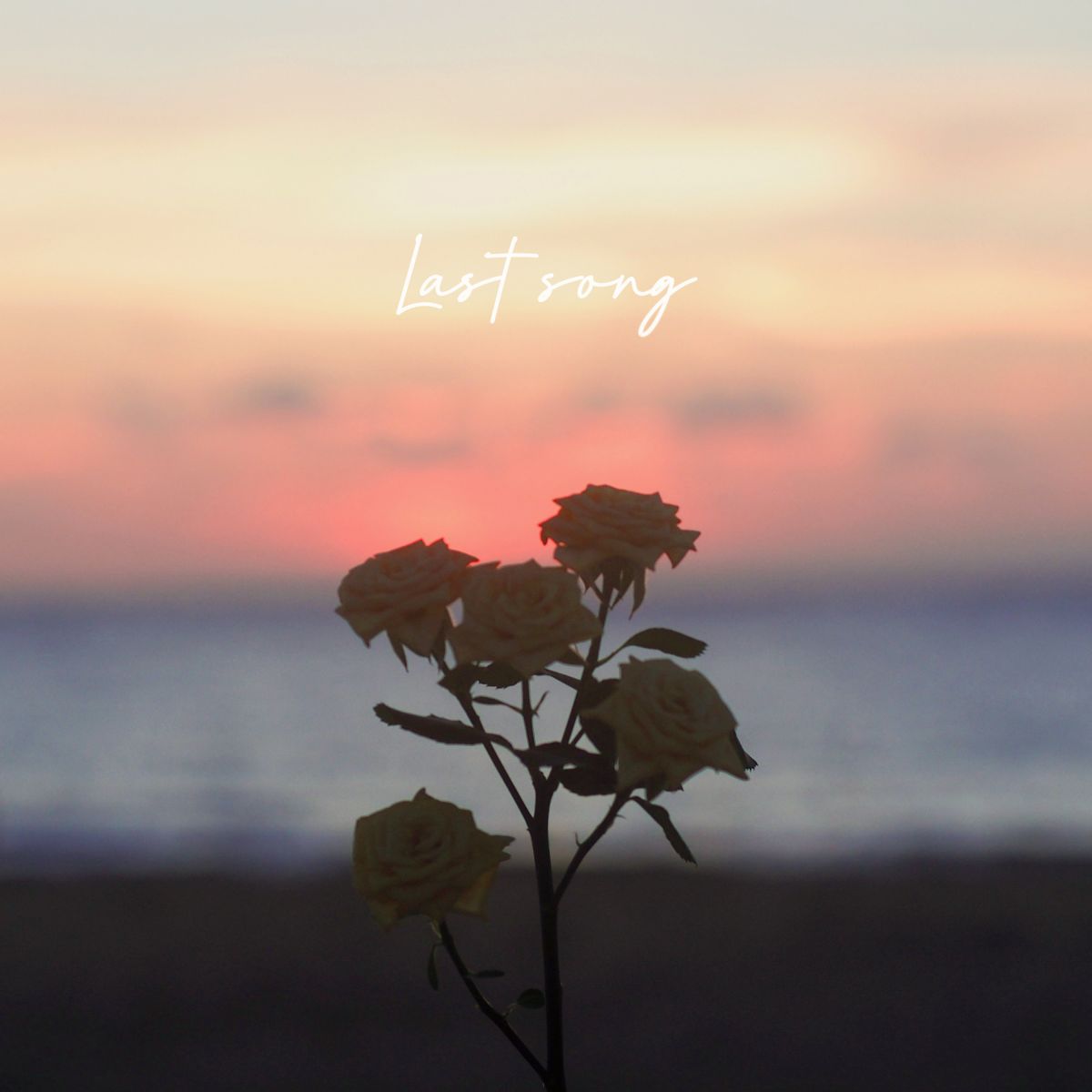 New Single【Last song】