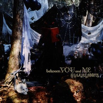 9th Maxi Single『between YOU and ME』-通常盤-