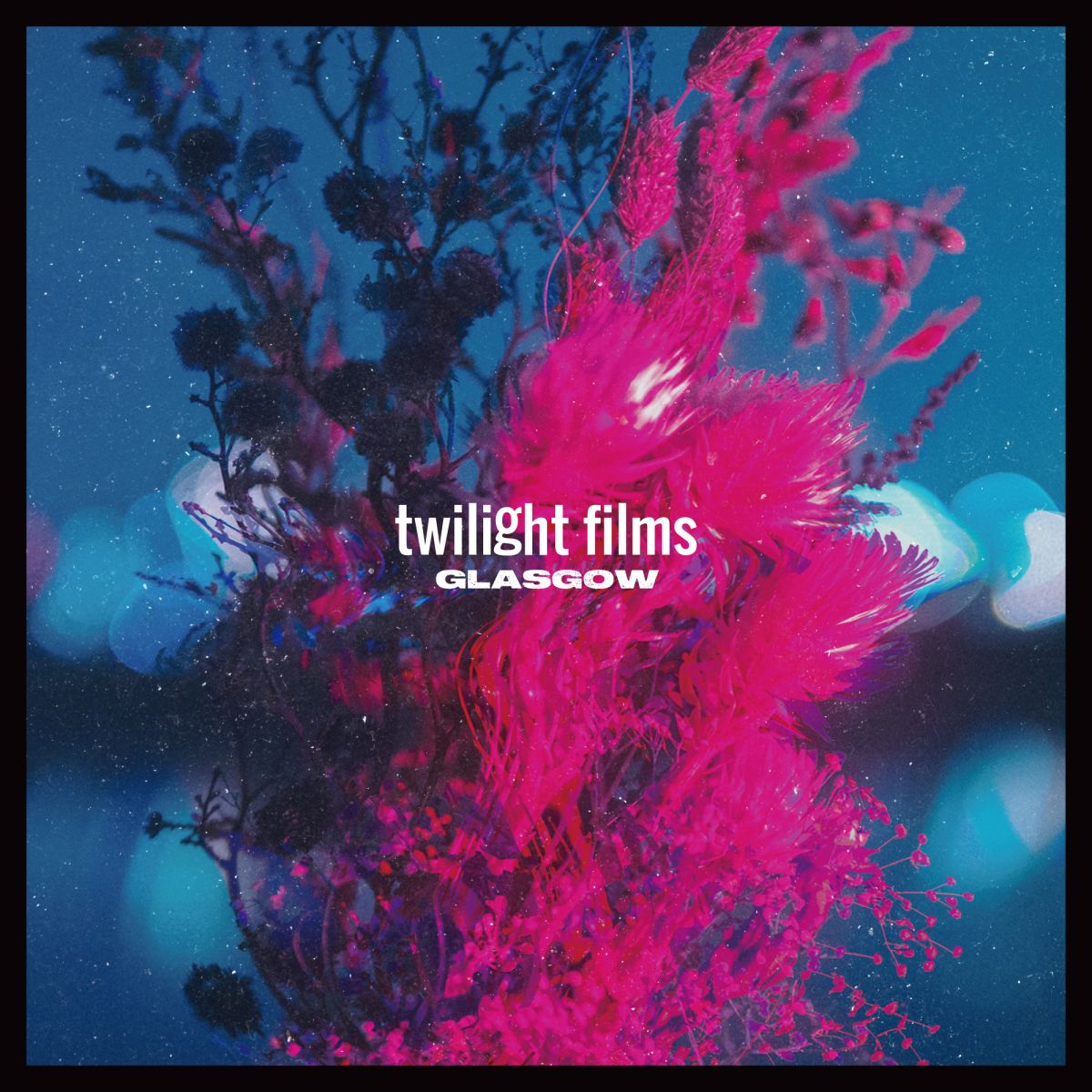 twilight films